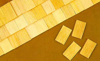 CLA70276 Split Rectangle Shingles 100 pcs by Classics