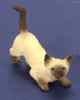 A2194sb Playful Siamese/Brown Cat from Fingertip Fantasies