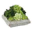 HW4045 Resin Low Square Succulent Planter by Houseworks