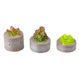 HW4044 Resin Succulents in Planters by Houseworks