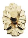 HW1111 Gold Plated Brass Medallion Knob by Houseworks