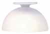 HW2547 Large Open Frosted Clg. Lamp by Houseworks 