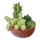 HW4046 Resin Succulent Planter Bowl by Houseworks