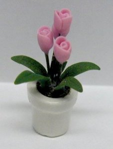 RB003 Pink Tulip